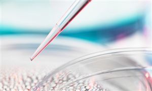 九游娱乐：2024年婴儿用品行业的产业链分析及市场发展现状(图2)