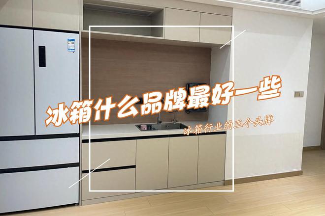 买冰箱选什么品牌好一些？售后师傅道出实情：首选这3个行业头牌(图1)