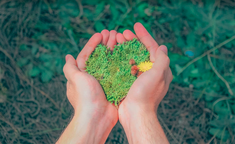 九游娱乐文化：2024全国妇女保健学术大会召开GRANVER吉悦巢引领女性健康护卫风潮(图2)