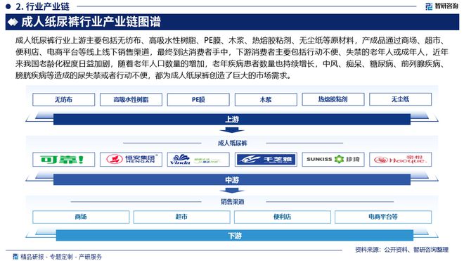 2024版中国成人纸尿裤行业市场竞争格局及发展前景分析报告(图3)