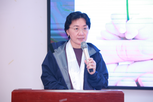 九游娱乐文化:早期干预守护母婴!合生元坚守初心助力GDM项目专家研讨会暨项目手册定稿发布会顺利举办(图5)