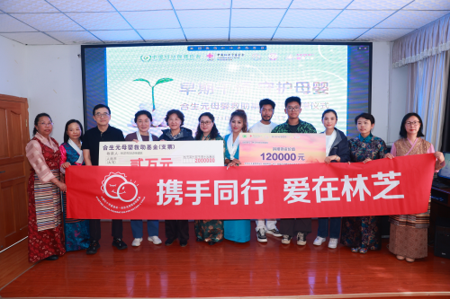 九游娱乐文化:早期干预守护母婴!合生元坚守初心助力GDM项目专家研讨会暨项目手册定稿发布会顺利举办(图9)