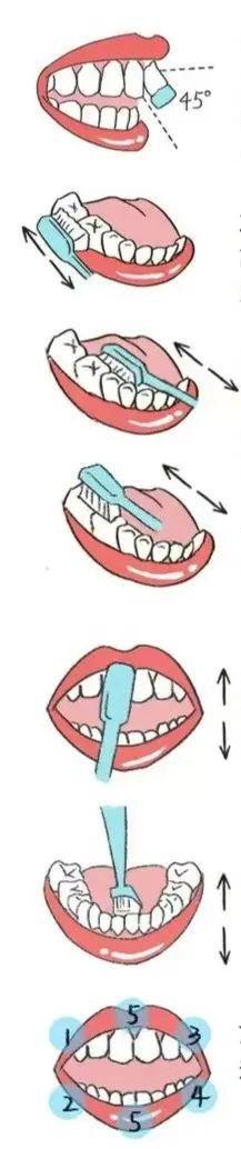 九游娱乐:口腔健康从细节做起(图1)