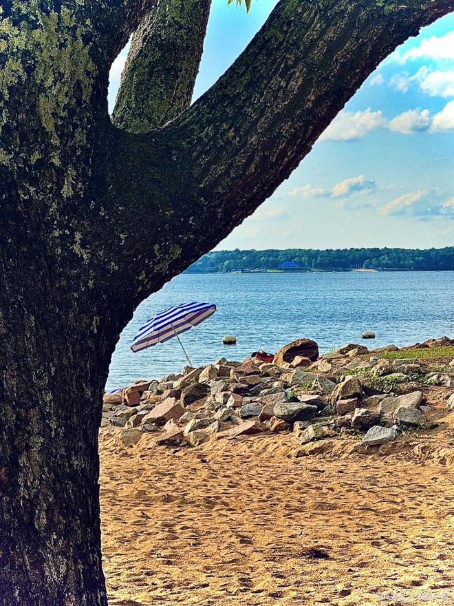 九游娱乐文化：健康照护师：守护健康的多元化职业(图1)