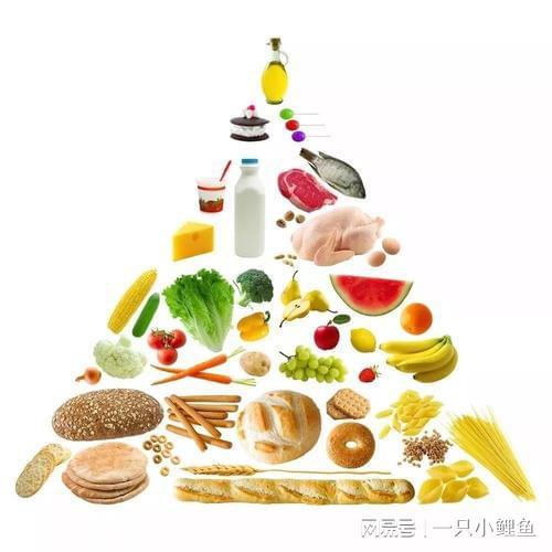 婴儿健康的喂养方式？健康的宝宝到底应该这么吃！！(图2)