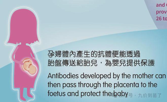 孩子咳不停?别忽视!全家都要注意百日咳(图3)