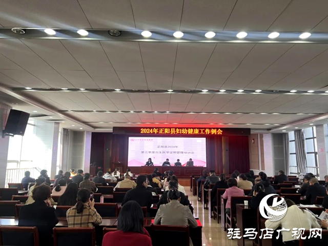 正阳县举办妇幼健康项目培训会(图1)