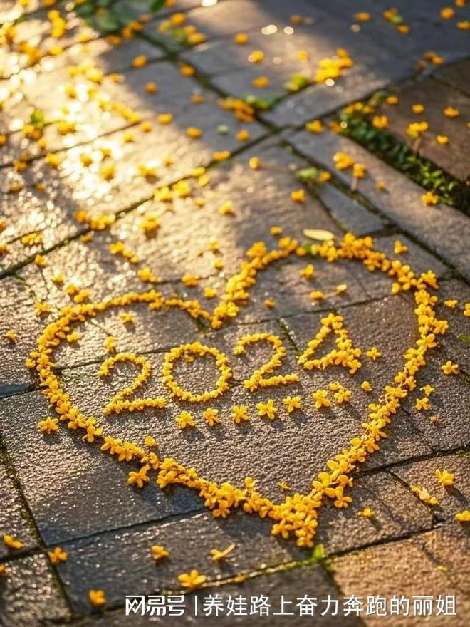 拥有女王智慧月嫂的母婴护理新体验(图3)