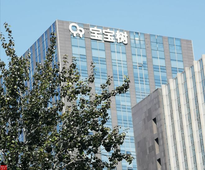 九游娱乐：市值蒸发超百亿！“互联网母婴第一股”宝宝树被强制退市(图4)