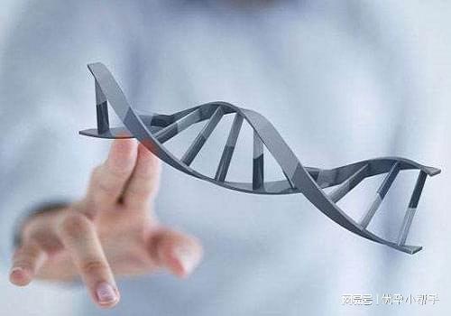 九游娱乐：备孕期间从哪些途径能够了解关于饮食方面的知识？-优孕行(图1)