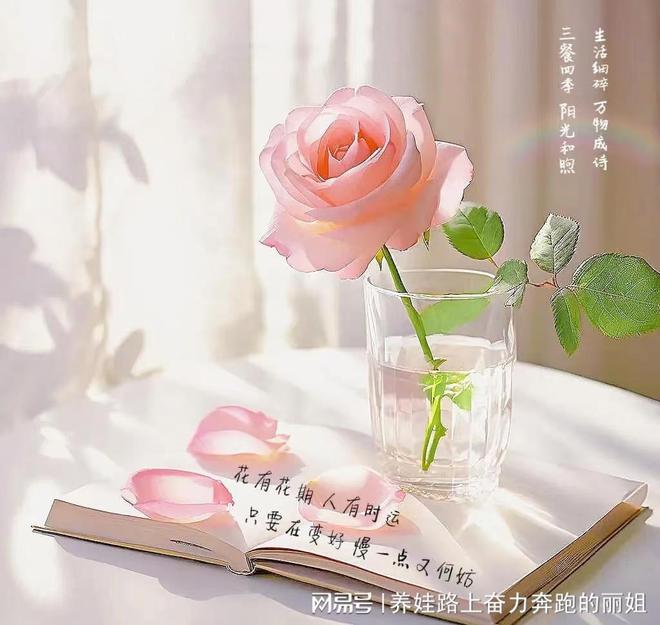 九游娱乐文化：女王智慧月嫂的温柔力量让母婴护理更贴心(图2)