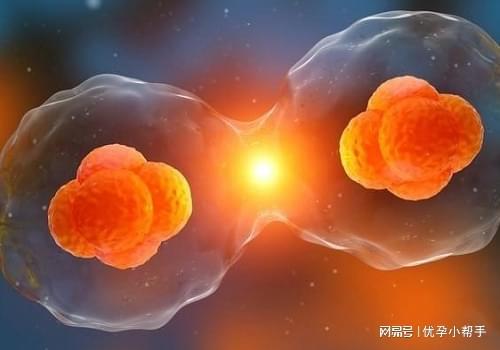 高龄孕妇备孕指南-优孕行(图1)