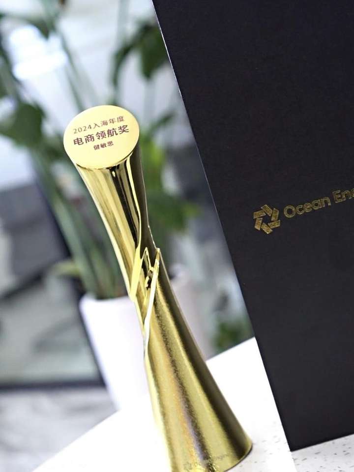 Witsbb健敏思获“2024入海年度电商领航奖”以专业实力领跑婴童营养赛道(图1)