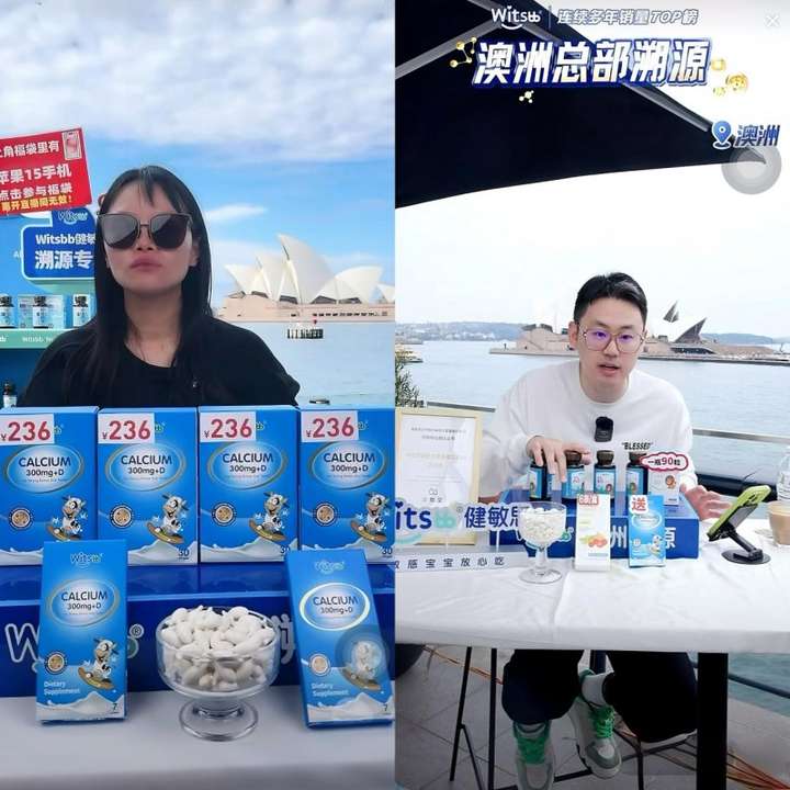 Witsbb健敏思获“2024入海年度电商领航奖”以专业实力领跑婴童营养赛道(图3)