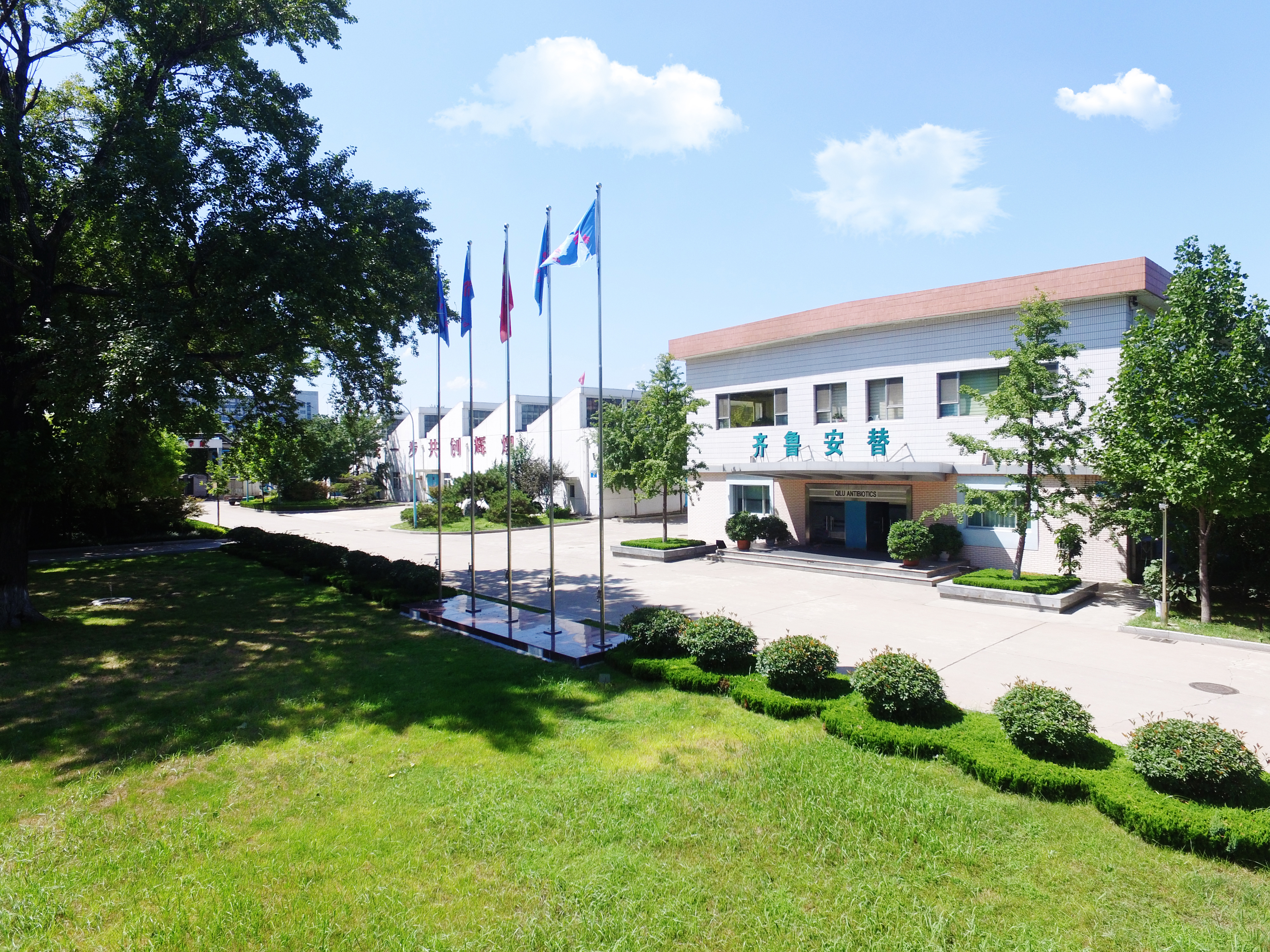 九游娱乐：济南市健康企业建设优秀案例展播第3期齐鲁安替制药有限公司：领先一步共创辉煌倾心追求缔造健康事业(图1)