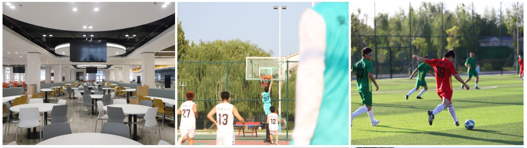 九游娱乐：济南市健康企业建设优秀案例展播第3期齐鲁安替制药有限公司：领先一步共创辉煌倾心追求缔造健康事业(图2)