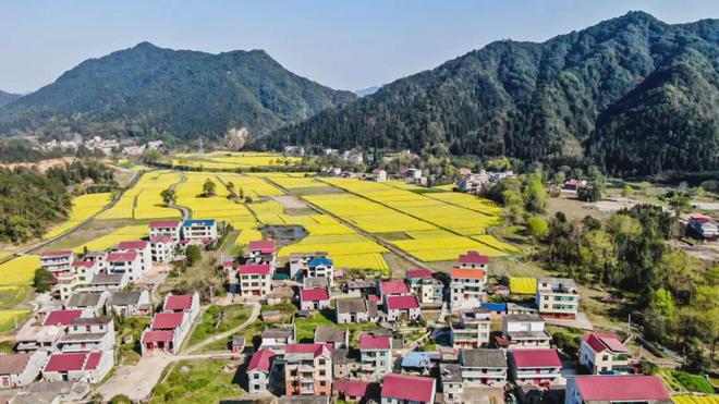 走进大山的第一步与每一步金领冠公益助力乡村母婴健康高质量发展(图4)