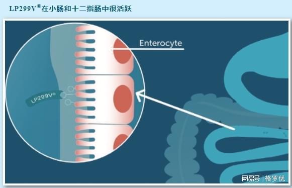 九游娱乐：孕晚期缺铁性贫血对母婴健康影响大补铁很重要！(图3)
