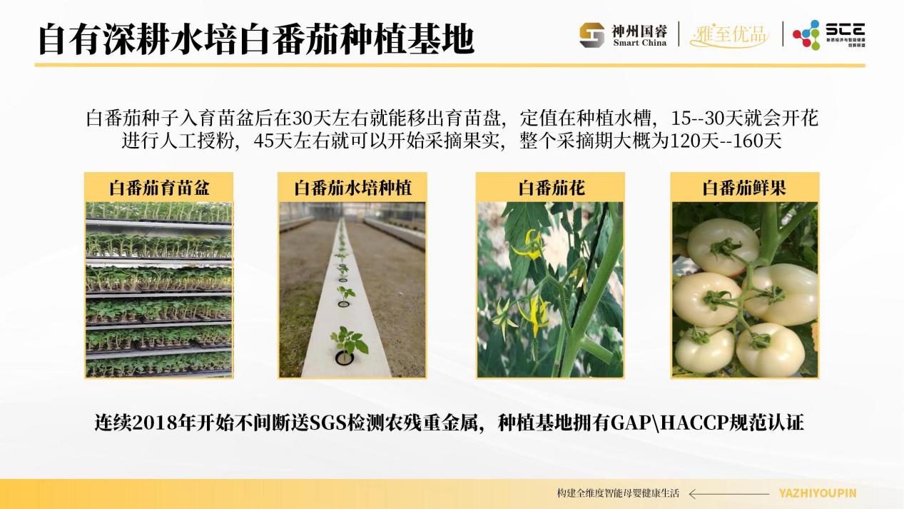 深层植物萃取雅至优品引领智能母婴新突破(图2)