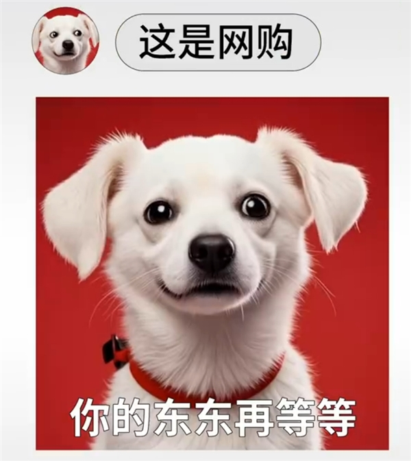 美团闪购30分钟送万物！为什么即时零售是比快递电商更新的物种(图3)