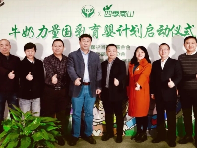 中婴婴童乳品网(图5)