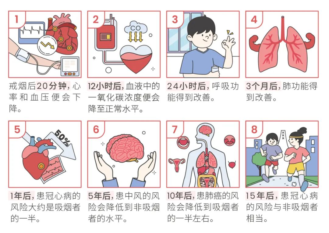 从青春开始的“健康倒计时”？早戒烟早获益！科普时间(图1)