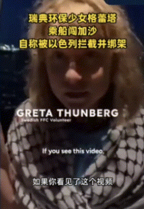 九游娱乐文化：以军突袭格蕾塔所乘船只食品、婴儿配方奶粉和医疗用品被没收！(图1)