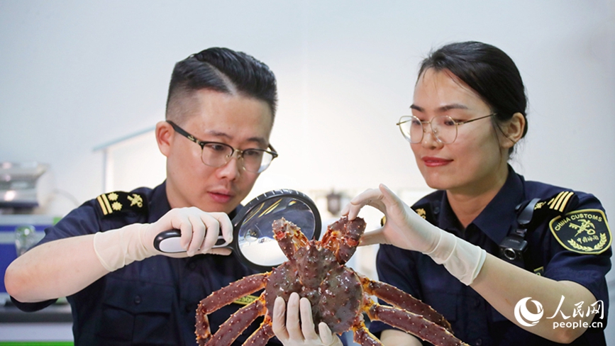 行进中国｜中原大地的“双城”故事(图1)