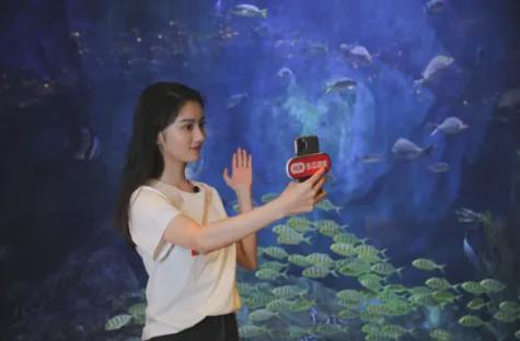 甘作淘宝京东导流工具人？小红书你又让人失望了……(图2)