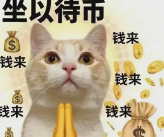 甘作淘宝京东导流工具人？小红书你又让人失望了……(图14)