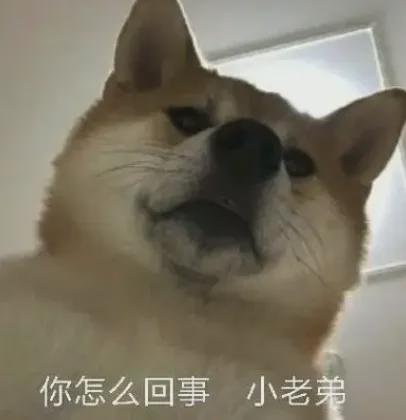 甘作淘宝京东导流工具人？小红书你又让人失望了……(图12)