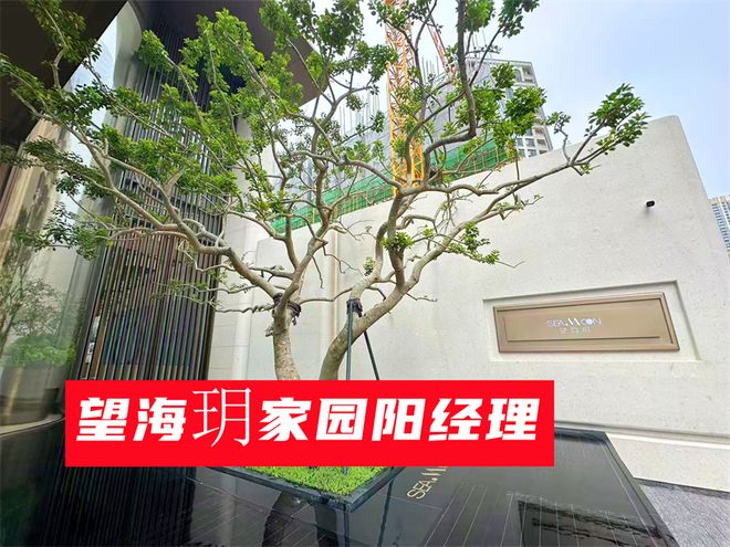 从5个方面的优缺点来了解望海玥家园（蛇口）为什么这么便宜(图2)