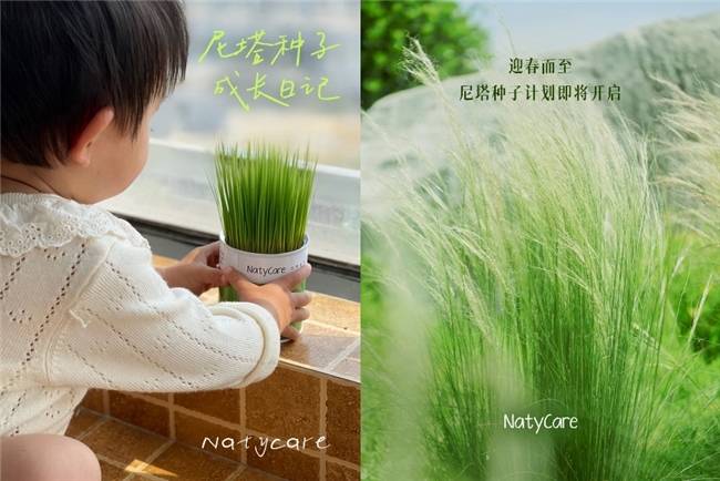 九游娱乐：自然母婴品牌尼塔启动“种子计划”以绿色行动引领育儿新趋势(图2)