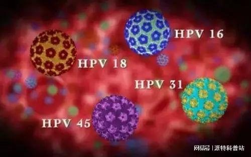 九游娱乐：HPV感染=不检点？母婴传播的真相更让人震惊！(图1)