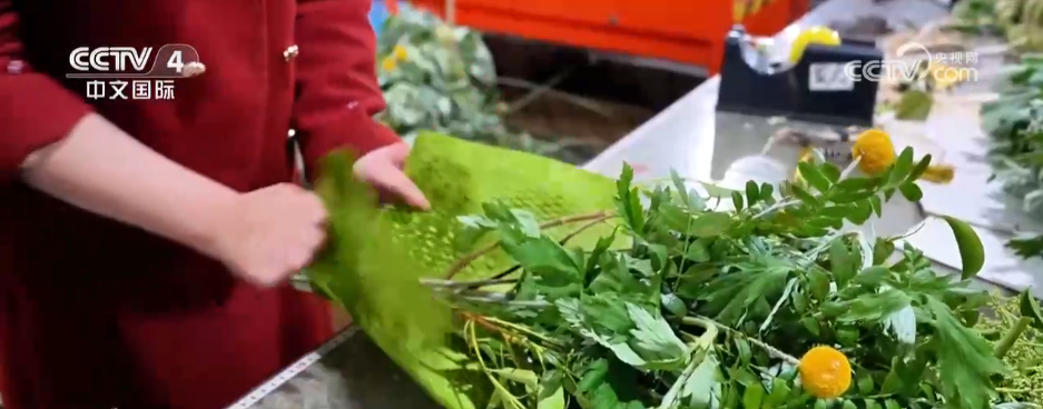 九游娱乐文化：各地文旅消费“玩法”多元“传统文化+假日经济”释放蓬勃消费活力(图2)