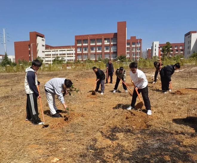 昭通卫职院：育杏林新苗筑健康基石(图6)