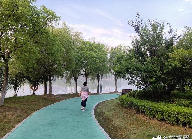 九游娱乐文化：我找到了减肥减脂的密码：原来管理体重可以变得这么容易乐此不疲(图1)