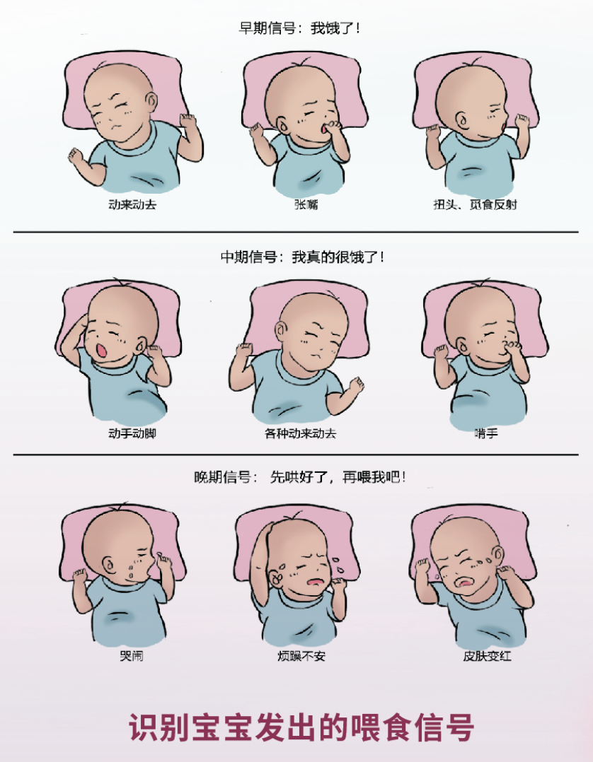 九游娱乐：2024全国母乳喂养宣传日主题倾听母婴共筑暖链(图2)