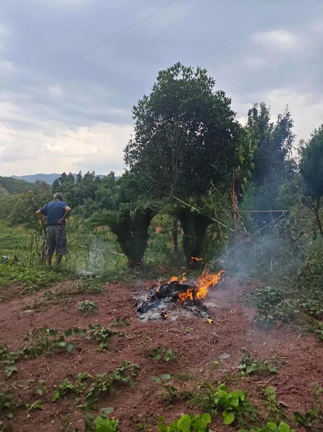 中元节又叫七月半老人说“七月半禁忌多”有些事情一定要特别注意!(图3)