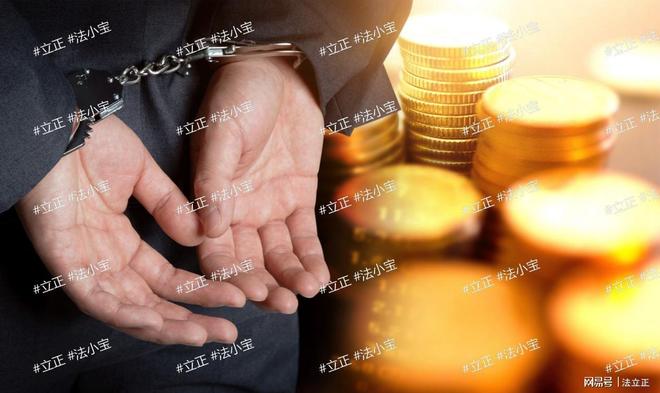 当“温暖”沦为“陷阱”:婴儿被里的黑幕与保卫战-立正法小宝(图2)