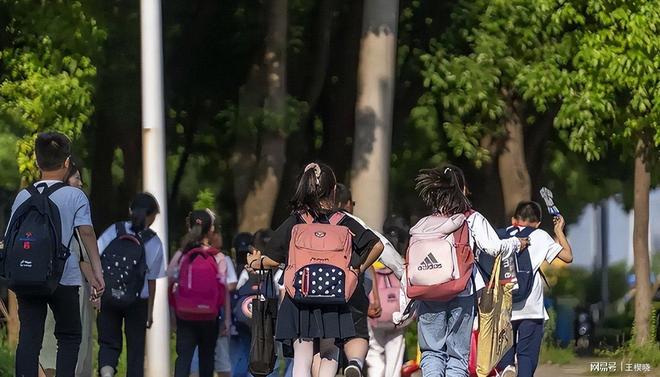 上海产科医生观察：剖腹产数量从8个锐减至0生育态度转变显著(图12)