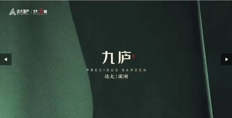 合肥远大九庐【合肥2026在售楼盘-楼盘详情-售楼中心】(图2)