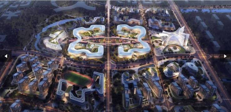 高新区伟星万科星遇光年新房周边配套-学区(图1)