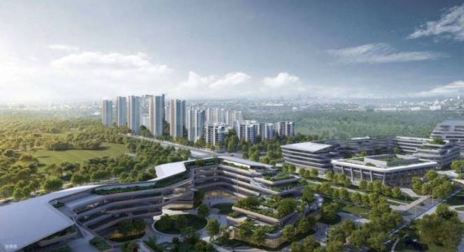 高新区伟星万科星遇光年新房周边配套-学区(图4)