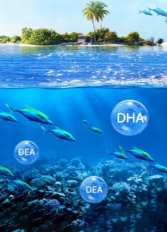 九游娱乐：国产鱼油哪个牌子纯度高？高端产品线纯度已能对标国际一流水平！(图2)