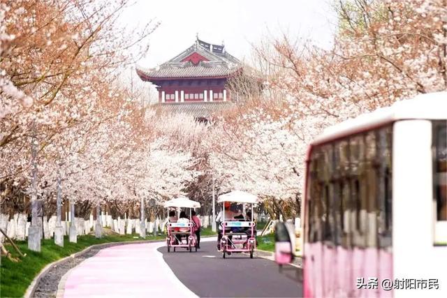 九游娱乐：善育在盐城亭湖“真金白银”助你养娃！(图6)