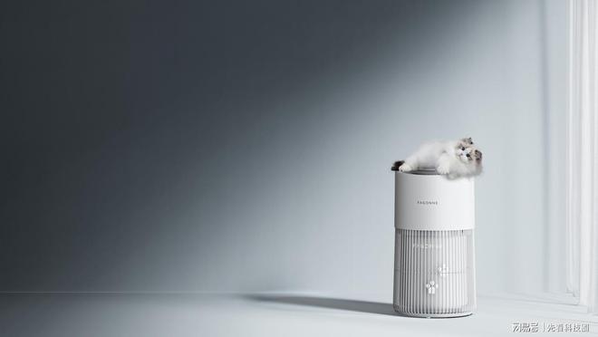 别交智商税！宠物空气净化器吸猫毛PK性价比最高的测评见分晓(图3)